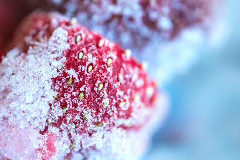 Strawberry showing visible signs of freezer burn.