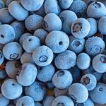 Frozen blueberries in a pile.